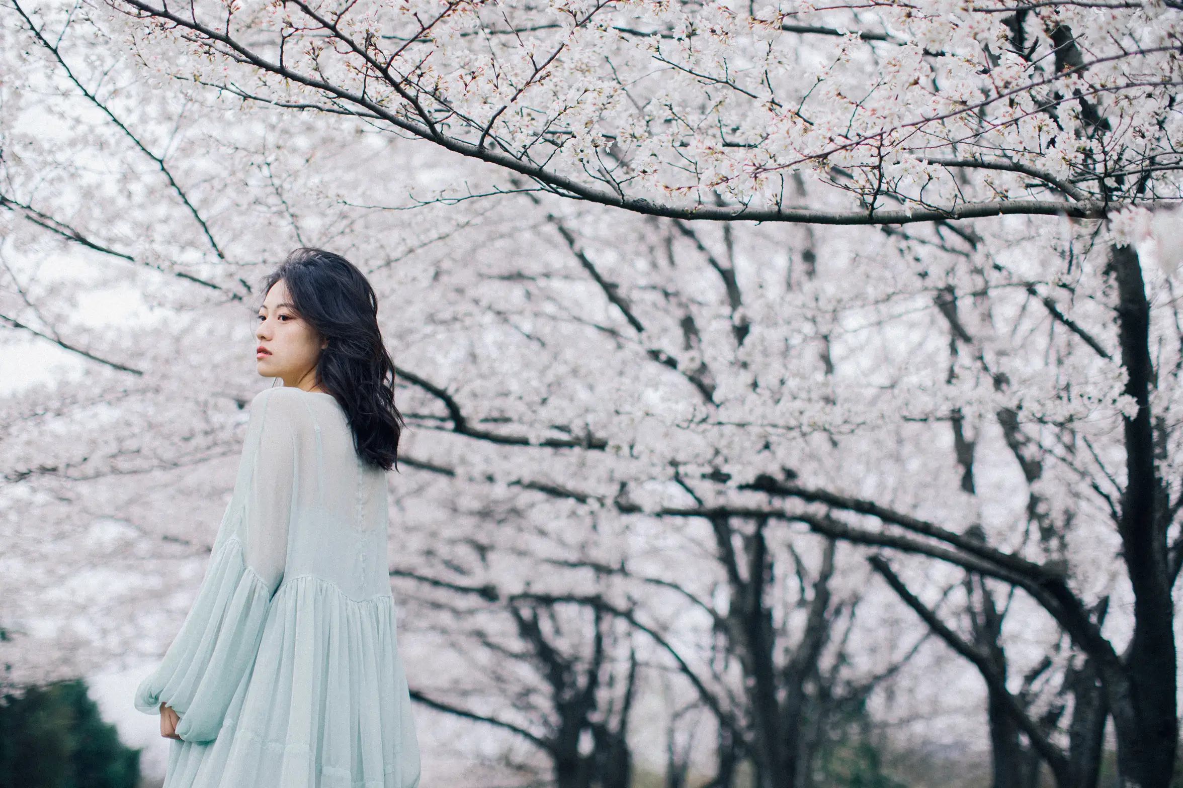 [YITUYU] 2022.05.27 Vol.1002 – Colorful Falling Cherry Blossoms September#[28P]-12